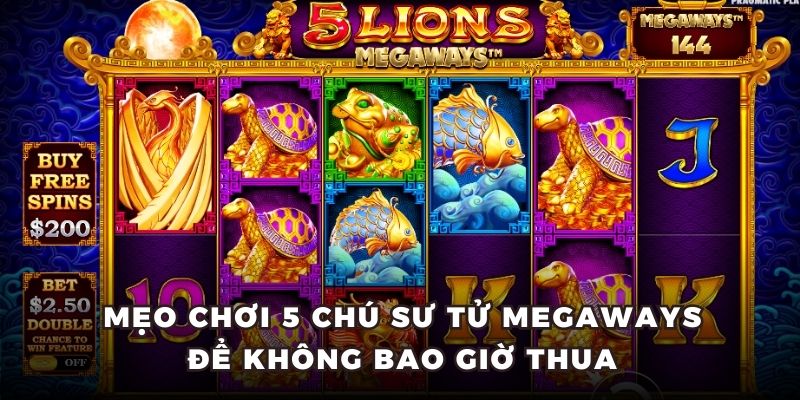Mẹo chơi 5 chú sư tử Megaways để không bao giờ thua