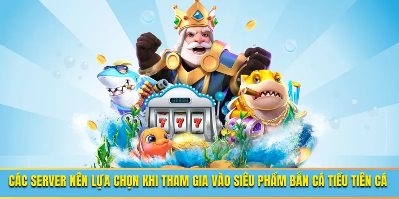 Server nên tham gia vào bắn cá tiểu tiên cá