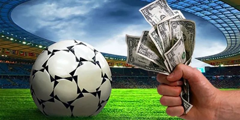 Luôn biết học hỏi từ các nhận định của chuyên gia