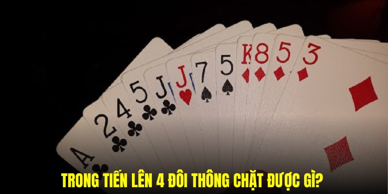 Các giải pháp về 4 đôi thông chặt được các dạng nào trong tiếng lên 