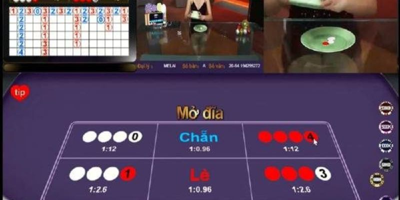 Các kỹ thuật cơ bản khi tìm hiểu cách bắt cầu xóc đĩa