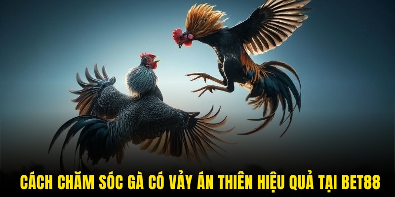 Cách chăm sóc đúng cách