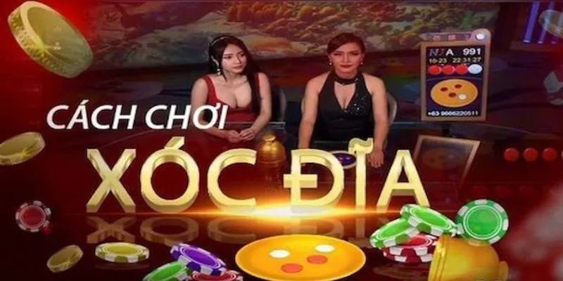 Chia sẻ cách chọn cửa xóc đĩa chuẩn xác cho người mới 