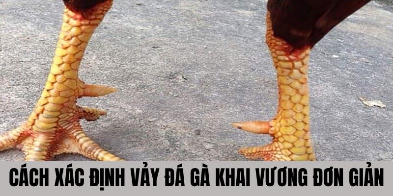 Chia sẻ về cách nhận biết vảy gà khai vương đơn giản
