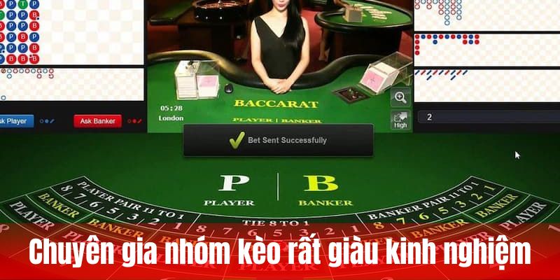 Chuyên gia nhóm kèo rất giàu kinh nghiệm
