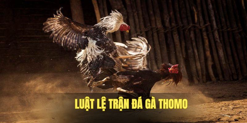 Luật lệ đá gà Thomo và cách cược