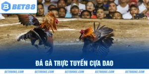 Đá Gà Trực Tuyến Cựa Dao Gay Cấn Và Kèo Cược Thưởng Lớn