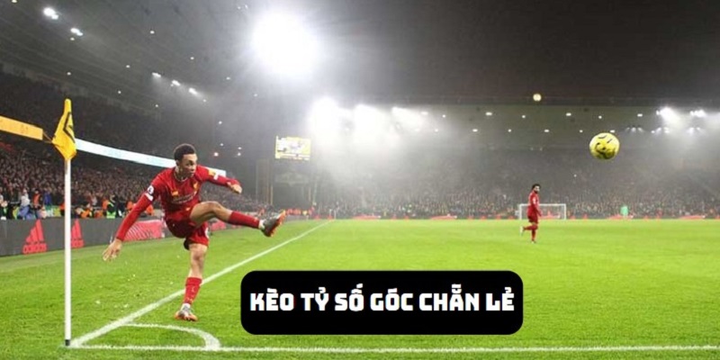 Chẵn lẻ là một dạng biến thể của kèo góc tài xỉu