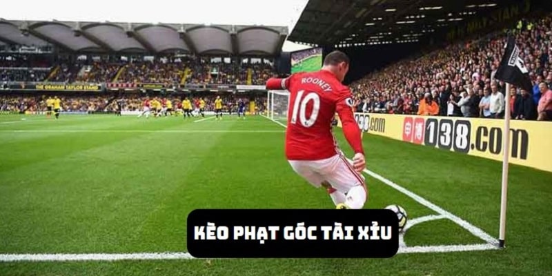 Tài xỉu là kiểu chơi cược góc phổ biến và thông dụng nhất