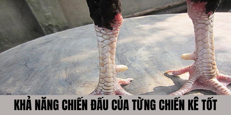 Khả năng chiến đấu của từng chiến kê tốt