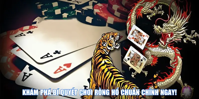 Khám phá bí quyết chơi Rồng Hổ chuẩn chỉnh ngay!