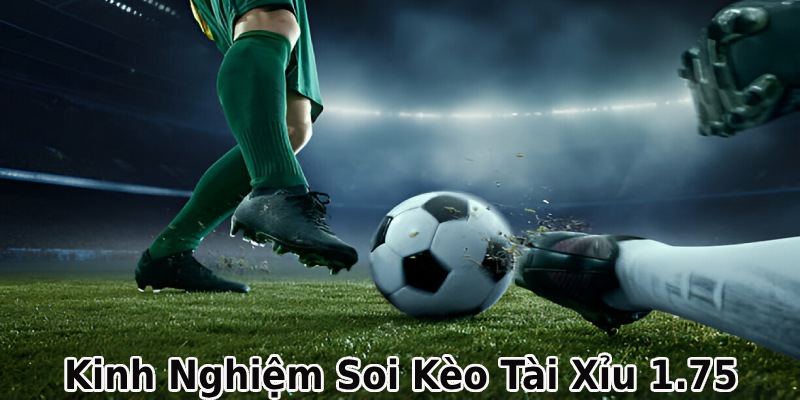 Kỹ thuật nâng cao tỷ lệ chính xác khi soi kèo
