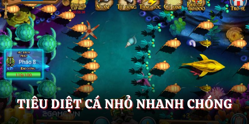 Tiêu diệt cá nhỏ nhanh chóng