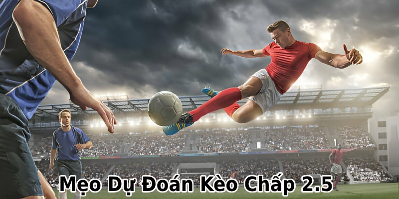 Bỏ túi mẹo hay tăng cơ hội thắng khi dự đoán