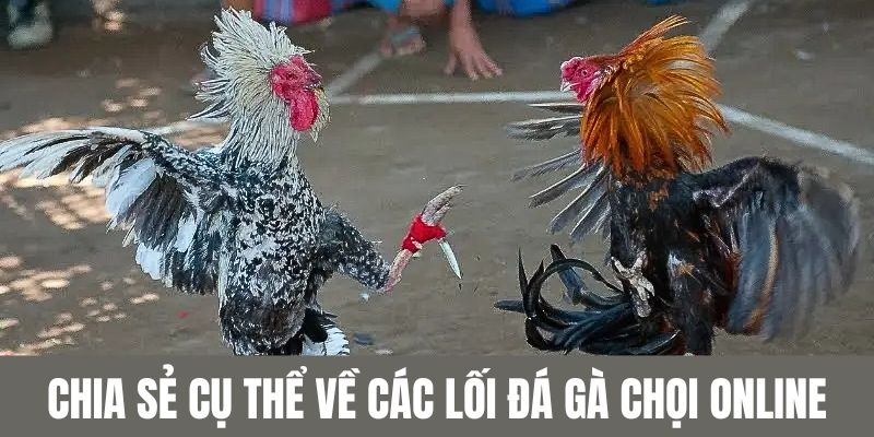 Những chia sẻ cụ thể về các lối của đá gà chọi online
