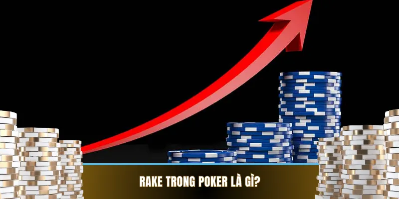 Tìm hiểu chi tiết về Rake trong poker 