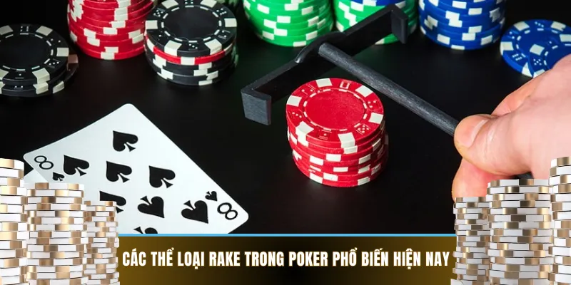 Điểm qua hai thể loại rake trong poker