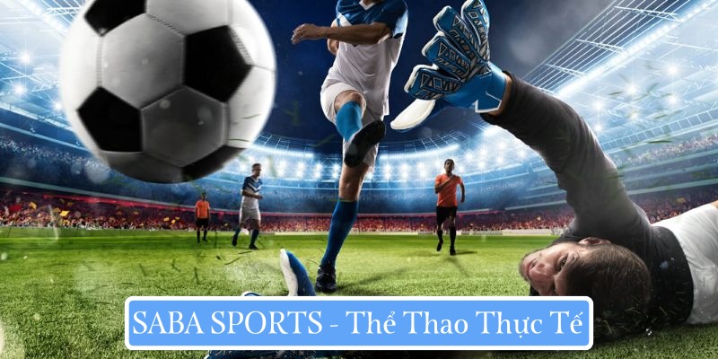 Mảng truyền thống luôn có sức hút lớn