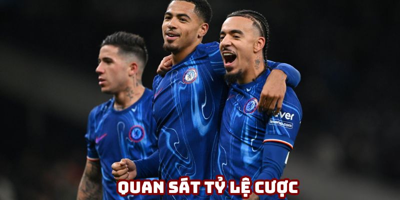 Cần quan sát tỷ lệ cược mà nhà cái đưa ra