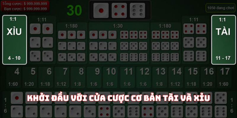 Khởi đầu với cửa cược cơ bản Tài và Xỉu