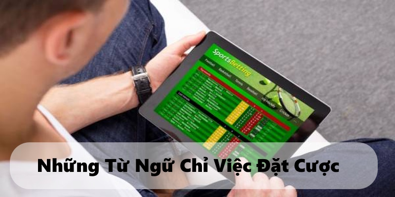 Những khái niệm chỉ việc đặt cược