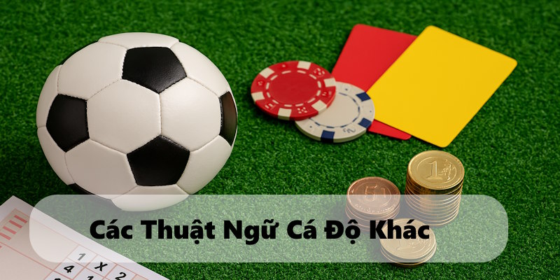 Các khái niệm khác trong cá độ