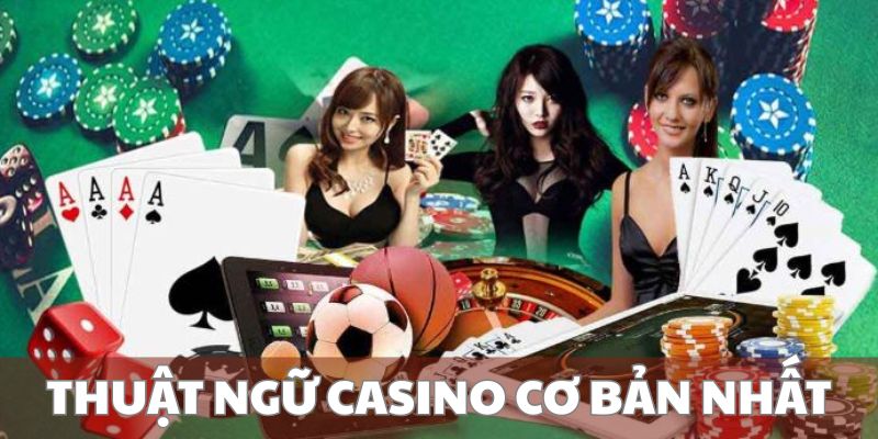 Những thuật ngữ thường dùng nhất hiện nay 