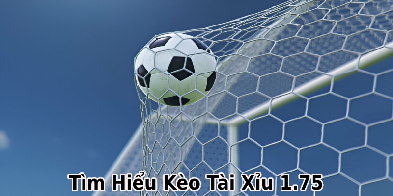 Giải thích thuật ngữ tài xỉu 1.75