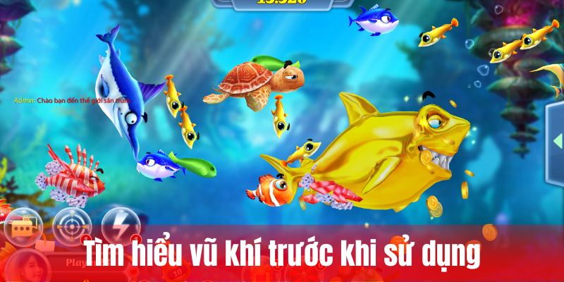 Tìm hiểu vũ khí trước khi sử dụng