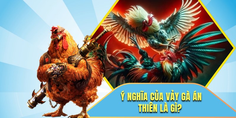 Vảy gà Án Thiên là gì?