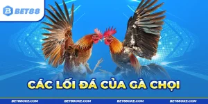Tổng Hợp Các Lối Đá Gà Chọi Hay Gặp Và Cách Chọn Tại Bet88