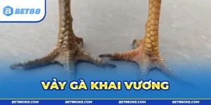 Tổng Hợp Thông Tin Về Vảy Gà Khai Vương Tại Bet88 2025