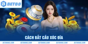 Cách Bắt Cầu Xóc Đĩa - Bí Quyết Chơi Thắng Tại Các Sân Chơi 