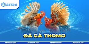 Đá Gà Thomo 2025 - Đỉnh Cao Giải Trí Châu Á Chơi Ngay Rinh Lãi Khủng