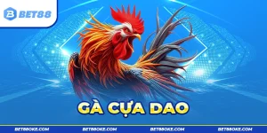 Gà Cựa Dao - Tham Gia Cá Cược Chất Lượng Tại BET88
