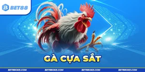 Gà Cựa Sắt BET88 - Quy Tắc Cần Phải Nắm Trước Khi Cá Cược