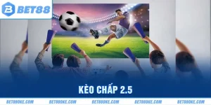 Kèo Chấp 2.5 | Quy Tắc Cá Cược Và Những Tips Dự Đoán Hay