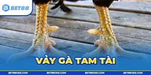 Vảy Gà Tam Tài BET88 - Đặc Điểm Nhận Diện Của Các Thần Kê