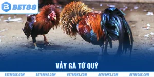 Vảy Gà Tứ Quý BET88 Mãnh Liệt Và Quyền Lực Trong Mỗi Trận 