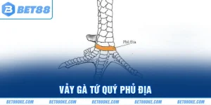 Vảy Gà Tứ Quý Phủ Địa - Cách Phân Loại Chính Xác Nhất